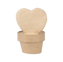 MINI PLANTE COEUR