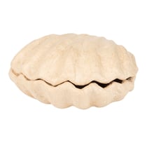 Décopatch Boîte coquillage 12x12x5cm - bt078c