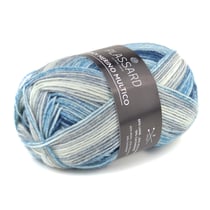 Pelote de fil à tricoter - Plassard - Tradi Merino Multicolore - Bleu moyen