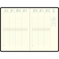 Agenda civil journalier 2024 - beige - 10 x 15 cm - EasyDay Mini Labo -  Agendas Civil - Agendas - Calendriers