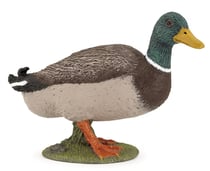 Figurine Papo - canard colvert