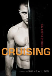 Cruising - Gay Erotic Stories