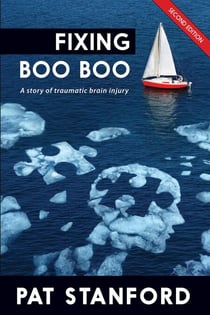 Fixing Boo Boo: A Story of Traumatic Brain Injury