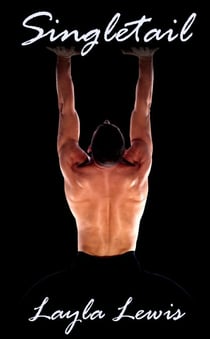 Singletail (a hardcore BDSM erotica with whips and bondage) - Impact Play, #2