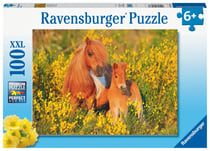 Puzzle 100 pièces XXL - Poneys Shetland