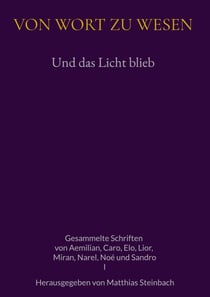 Und das Licht blieb - Gesammelte Schriften von Aemilian, Caro, Elo, Lior, Miran, Narel, Noe und Sandro
