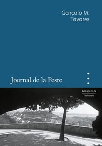 Journal de la Peste - L'année 2020