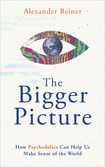The Bigger Picture - How Psychedelics Can Help Us Make Sense of the World