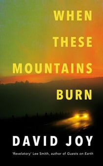 When These Mountains Burn - The literary crime thriller from the prizewinning master of American noir fiction