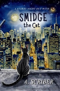 A Starry Night Out with Smidge the Cat