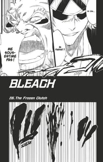 Bleach - T27 - Chapitre 235 - The Frozen Clutch