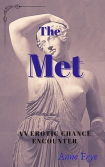 The Met: An Erotic Chance Encounter