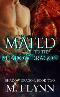 Mated to the Shadow Dragon: Shadow Dragon Book 2 (Dragon Shifter Romance) - Shadow Dragon, #2