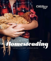 Modern Homesteading - Get Back to the Land - Wherever You Live