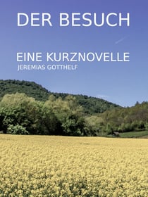 Der Besuch - Eine Kurznovelle