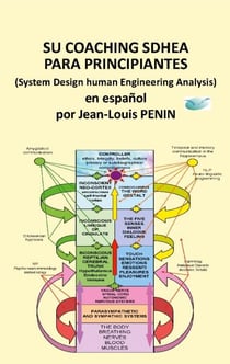 Su coaching SDHEA para principiantes - Coaching SDHEA