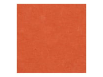 Feuille de papier Lokta - 50X70 - Paprika