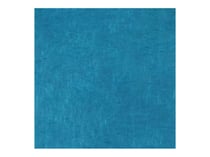 Feuille de papier Lokta - 50X70 - Cyan