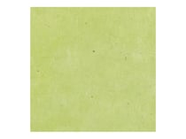 Feuille de papier Lokta - 50X70 - Wasabi