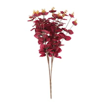 Bouquet d'eucalyptus - Pourpre - 50 cm