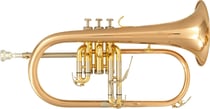 SML Paris - Bugle Sib verni