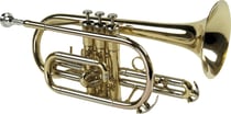 SML CO50 - Cornet Sib - verni