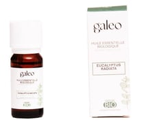 Huile essentielle biologique eucalyptus radiata 10 ml