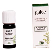 Huile essentielle biologique eucalyptus globulus 10 ml