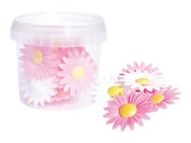 Lot de 18 marguerites azyme ScrapCooking®- 28 g