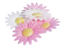 Lot de 18 marguerites azyme ScrapCooking® - Couleurs assorties - 28 g