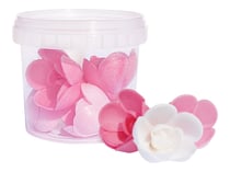 Lot de 6 roses azyme ScrapCooking - 28 g