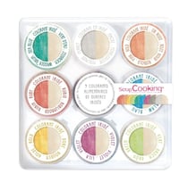 Lot de 9 colorants irisés ScrapCooking®- Couleurs assorties - 13,5 g