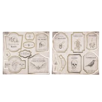 Stickers pour bouteilles Tim&Puce Factory® - Cabinet de curiosités