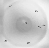 Discipline Through Sound 25