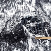 Lila Lichen