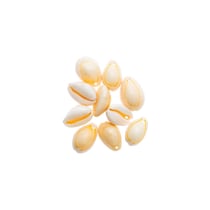 10 Coquillages naturels avec 2 perforations