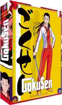 Gokusen - Intégrale