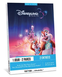 Coffret cadeau - Disneyland Paris - 1 jour / 2 Parcs - 2 places