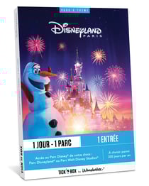 Coffret cadeau Wonderbox Connect - Disneyland Paris 1 jour / 1 parc - 2 personnes