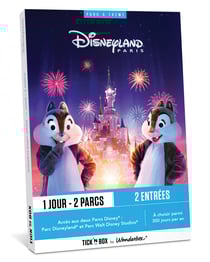 Coffret cadeau Wonderbox Connect - Disneyland Paris 1 jour / 2 parcs - 2 personnes