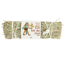 Sauge bleu - 8-10 cm