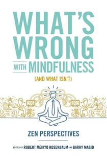 What's Wrong with Mindfulness (And What Isn't) - Zen Perspectives