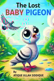 The Lost Baby Pigeon