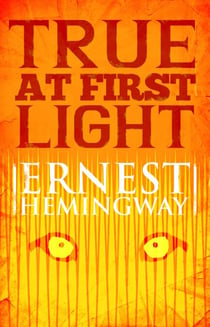 True at First Light - A Fictional Memoir