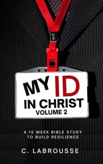 My ID in Christ Volume 2 - building a resilient ministry, #1