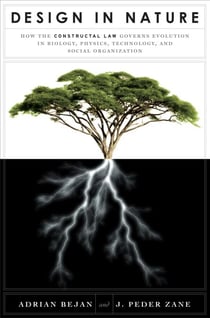 Design in Nature - How the Constructal Law Governs Evolution in Biology, Physics, Technology, and Social Organization