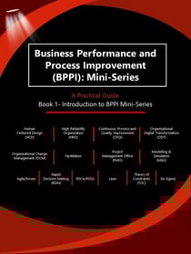 Business Performance and Process Improvement (BPPI): Mini-Series A Practical Guide Book 1: Introduction to BPPI Mini-Series - Business Performance and Process Improvement (BPPI): Mini-Series A Practical Guide, #1
