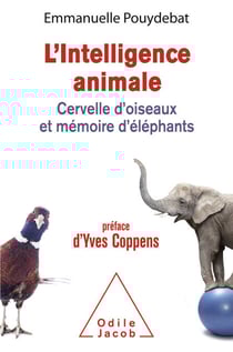 L' Intelligence animale - Cervelle d'oiseaux et mémoire d'éléphants