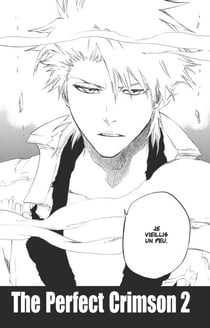 Bleach - T73 - Chapitre 671 - THE PERFECT CRIMSON 2