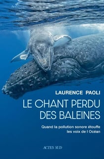Le chant perdu des baleines - Quand la pollution sonore étouffe les voix de l’océan